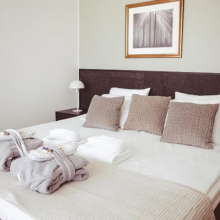 Emilia Hotelli 4*